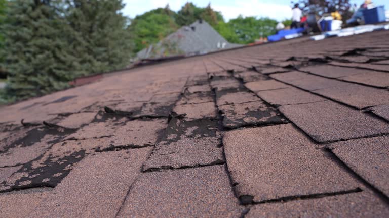 Best Solar Panel Roofing Installation  in Stewart Manor, NY